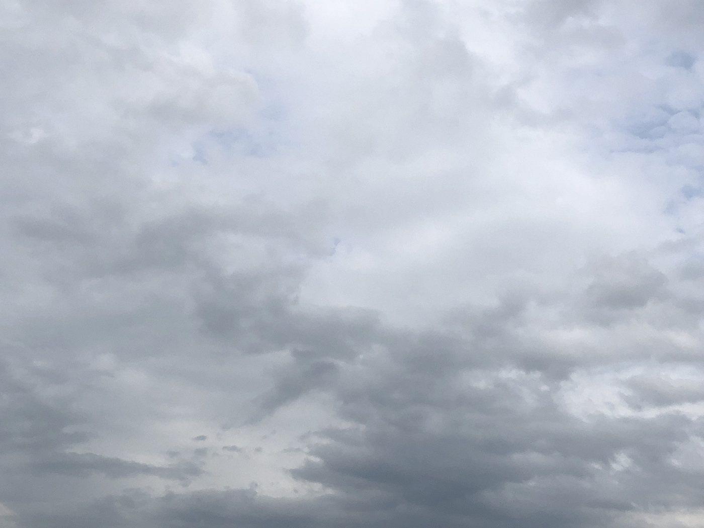 给身体放个小假