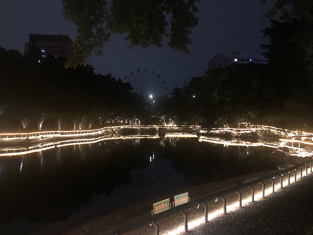 陪伴