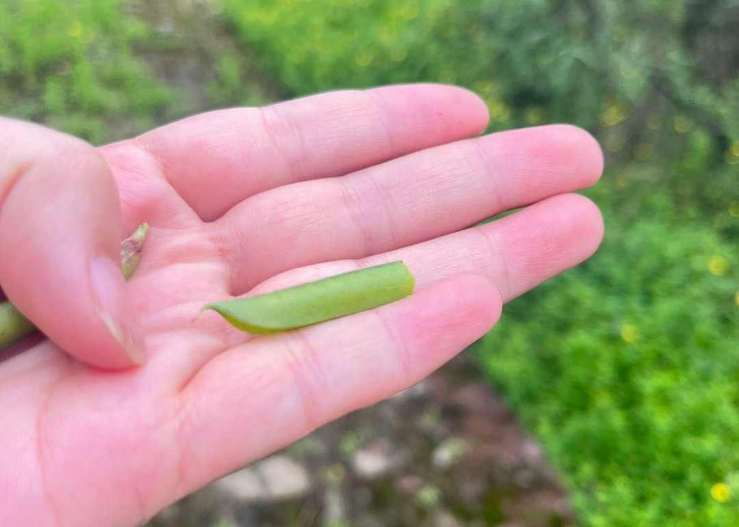 你们管这叫啥？