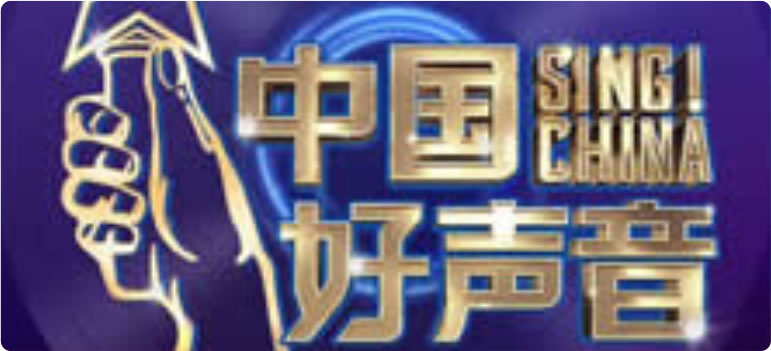 关于中国好声音