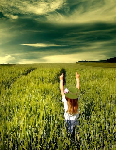 2011年11月14日 星期一