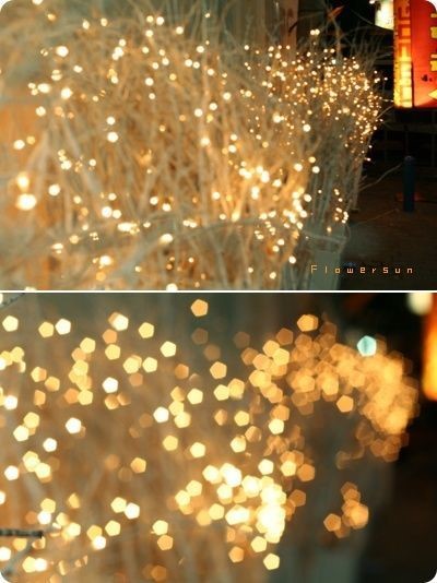 2011年11月15日 星期二