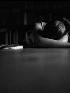 2011年11月6日 星期日