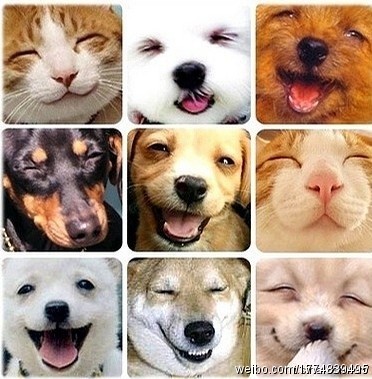 哪个生活细节更让你觉得开心