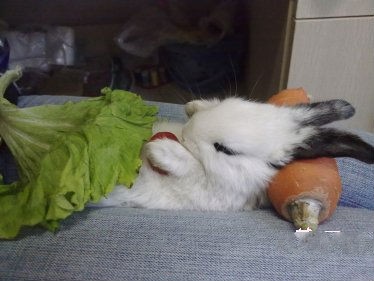 快乐就这么简单