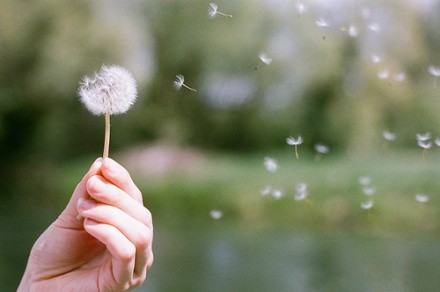 管理自己的情绪