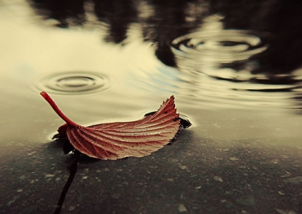 应该知道的四句话